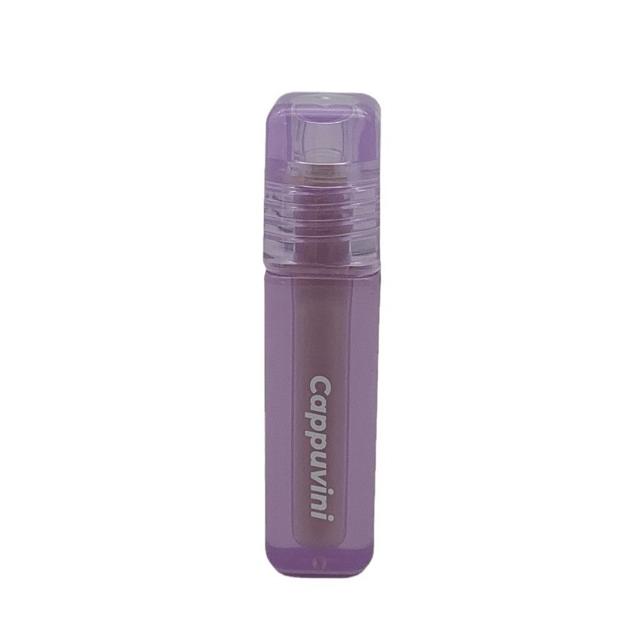 Cappuvini Purple Touch Concealer